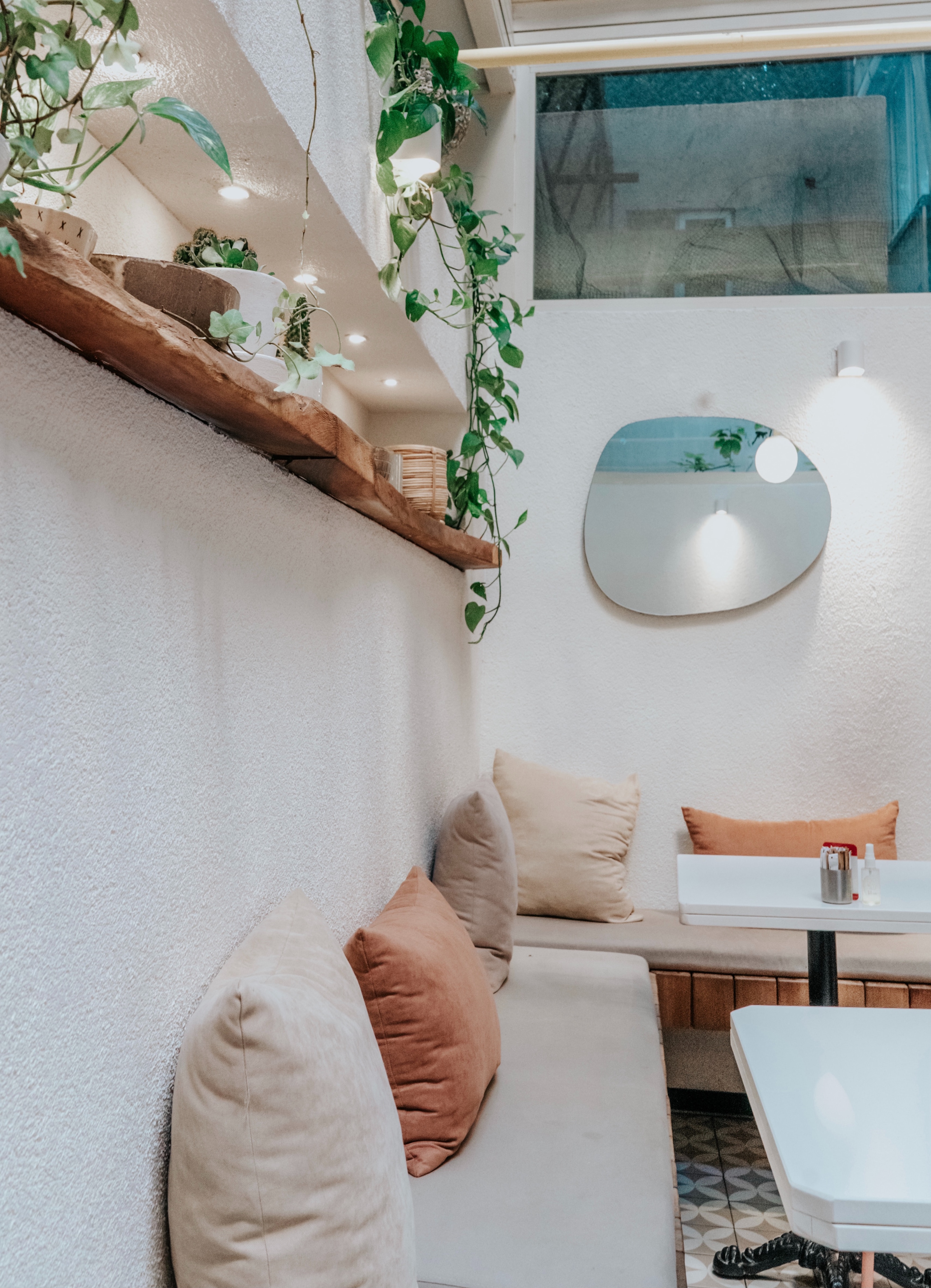 Charlottesville cafe